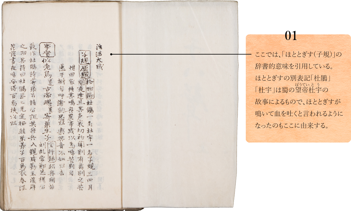 01.　ここでは、「ほととぎす(子規)」の辞書的意味を引用している。ほととぎすの別表記「杜鵑」「杜宇」は蜀の望帝杜宇の故事によるもので、ほととぎすが鳴いて血を吐くと言われるようになったのもここに由来する。