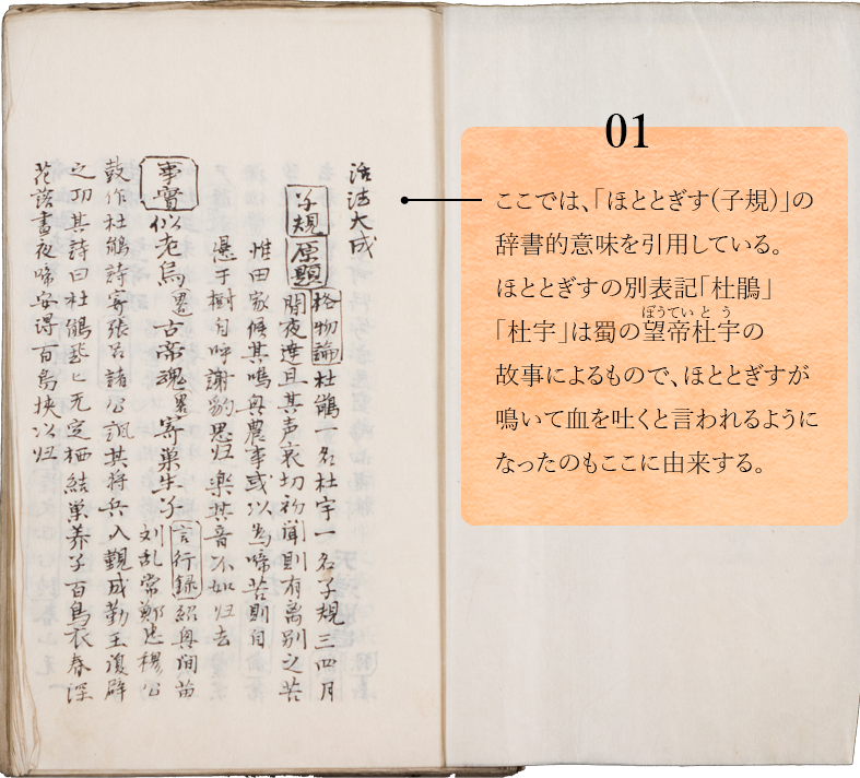 01.　ここでは、「ほととぎす(子規)」の辞書的意味を引用している。ほととぎすの別表記「杜鵑」「杜宇」は蜀の望帝杜宇の故事によるもので、ほととぎすが鳴いて血を吐くと言われるようになったのもここに由来する。