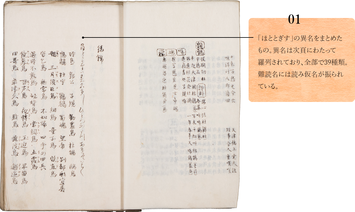 01.　「ほととぎす」の異名をまとめたもの。異名は次頁にわたって羅列されており、全部で39種類。難読名には読み仮名が振られている。