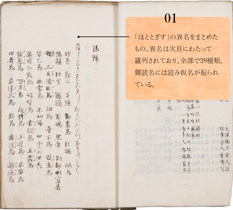 01.　「ほととぎす」の異名をまとめたもの。異名は次頁にわたって羅列されており、全部で39種類。難読名には読み仮名が振られている。