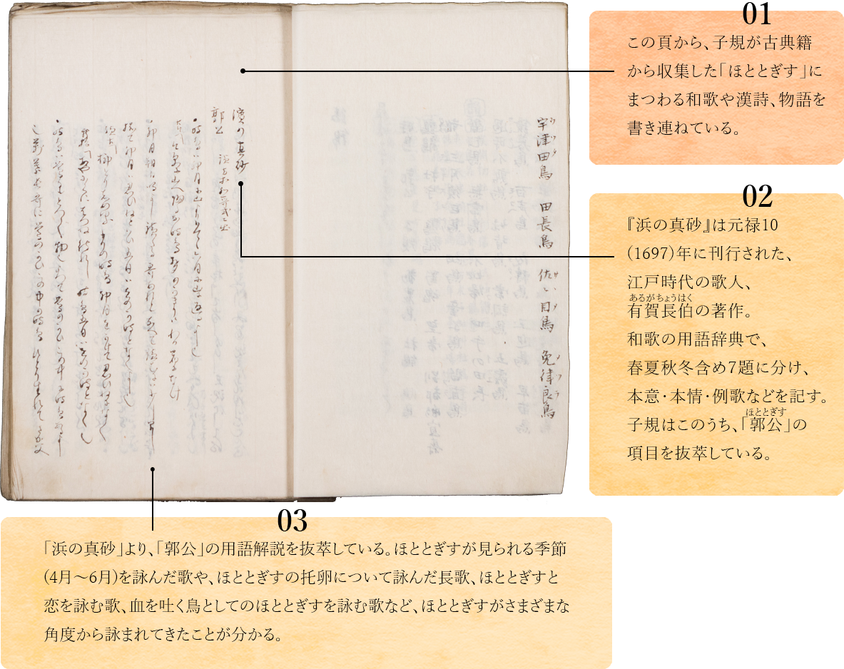 01.　この頁から、子規が古典籍から収集した「ほととぎす」にまつわる和歌や漢詩、物語を書き連ねている。02.　「浜の真砂」は元禄10(1697)年に刊行のされた江戸時代の歌人・有賀長伯の著作。和歌の用語辞典で、春夏秋冬含め７題に分け、本意・本情・例歌などを記す。子規はこのうち、「郭公」の項目を抜萃している。03.　「浜の真砂」より、「郭公」の用語解説を抜萃している。ほととぎすが見られる季節(4月～6月)を詠んだ歌や、ほととぎすの托卵について詠んだ長歌、ほととぎすと恋を詠む歌、血を吐く鳥としてのほととぎすを詠む歌など、ほととぎすがさまざまな角度から詠まれてきたことが分かる。