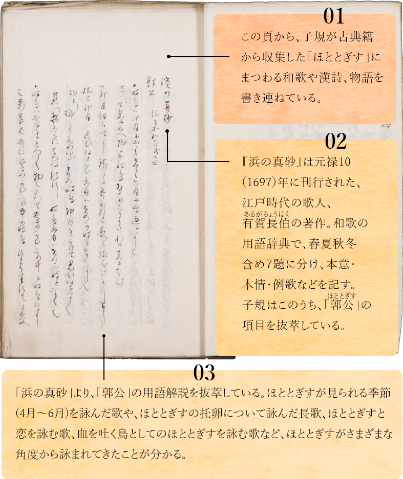 01.　この頁から、子規が古典籍から収集した「ほととぎす」にまつわる和歌や漢詩、物語を書き連ねている。02.　「浜の真砂」は元禄10(1697)年に刊行された江戸時代の歌人・有賀長伯の著作。和歌の用語辞典で、春夏秋冬含め７題に分け、本意・本情・例歌などを記す。子規はこのうち、「郭公」の項目を抜萃している。03.　「浜の真砂」より、「郭公」の用語解説を抜萃している。ほととぎすが見られる季節(4月～6月)を詠んだ歌や、ほととぎすの托卵について詠んだ長歌、ほととぎすと恋を詠む歌、血を吐く鳥としてのほととぎすを詠む歌など、ほととぎすがさまざまな角度から詠まれてきたことが分かる。